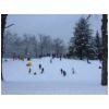 Ottawa Park Golf course