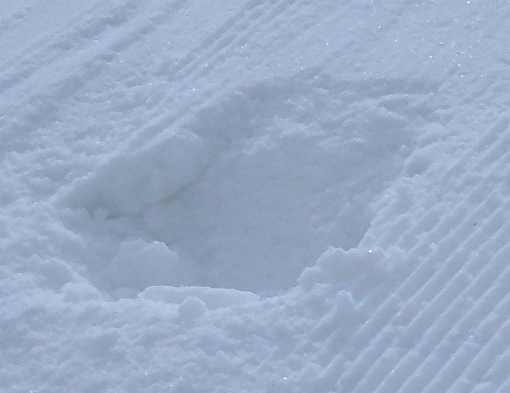 The divot