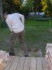 Back yard