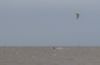 Cold Kite