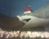 Lights before christmas