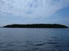 Airboat Tour