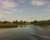 Airboat Tour