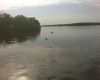 Airboat Tour