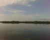 Airboat Tour