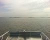 Airboat Tour