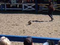 Michigan Renfair