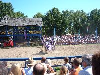 Michigan Renfair