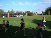 Scott Park - Week 3