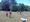 Backyard Camping + Summer Fun Run + Lake Swim