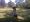 Backyard Camping + Summer Fun Run + Lake Swim