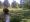 Backyard Camping + Summer Fun Run + Lake Swim