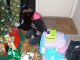 Double Update Xmas and Pappy Time