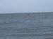 Outer Banks Vacation