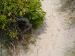 Outer Banks Vacation