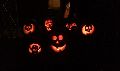 Annual Pumpkin Carving Party