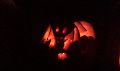Annual Pumpkin Carving Party