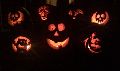 Annual Pumpkin Carving Party