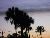 Florida Trip Image Dump