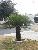 Florida Trip Image Dump