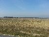 New Snowkite Spot