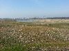 New Snowkite Spot