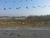 New Snowkite Spot