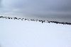 Snowkite Session Two