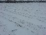 Snowkite spot