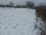 Snowkite spot