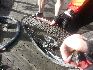 Hardest ride of my life