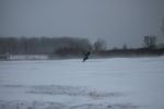SnowKite #1 - 2014